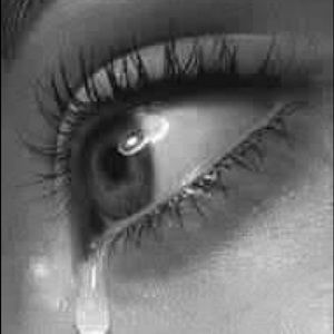 Meet your Posher, Zouhour